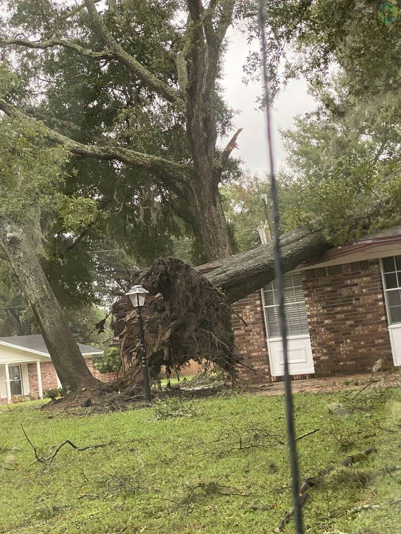 Tree resting on home in Woodmere