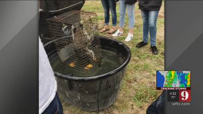 Florida teacher accused of drowning raccoons during class abruptly retires