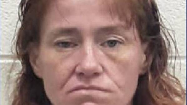 Police: East Tennessee woman accused of stealing toolbox, meat from stores
