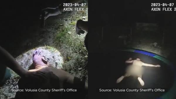 Nude Florida burglar covered in grease, blood & oil jumps into pool & onto trampoline, deputies say