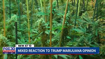 Locals react to Former President Donald Trump’s support of legalizing recreational marijuana