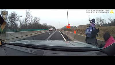 Purrfect ending: Video shows cat rescued from busy Ohio highway