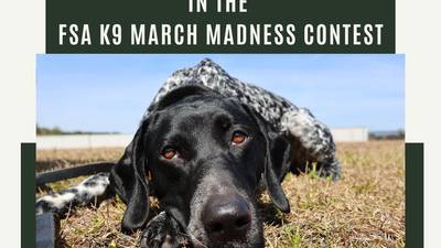 Photos: Florida K9 March Madness 