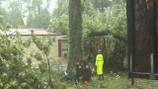 Hurricane Debby: Boy, 13, dies after tree falls onto Florida home