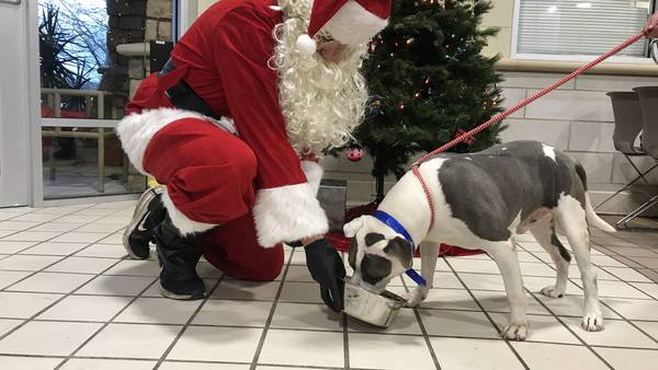 Santa Claus and his elves delivering the love of an adopted pet this holiday season
