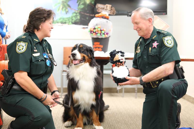 Sheriff Leeper and K9 Tank from Nassau County Sheriff's Office went to Baptist Medical Center in Nassau to judge their favorite pumpkins.