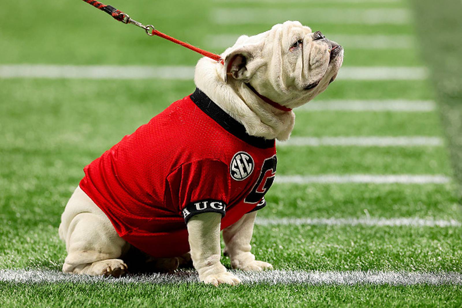 UGA is No. 1 in AP’s first college football poll of the 2023 season