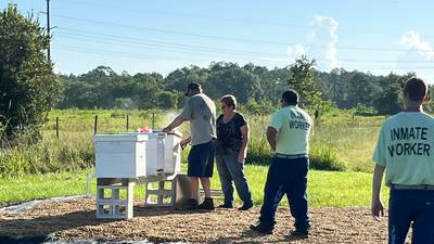 Putnam County inmates learn to become beekeepers