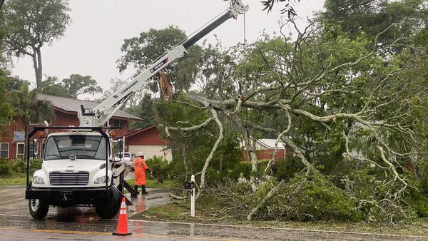 Trees, signs, power lines down as severe weather moves through Northeast Florida, Southeast Georgia