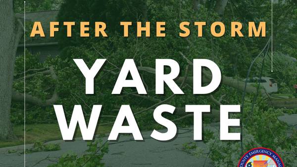 Clay County yard trash update: What you need to know