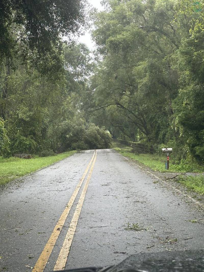 More reported trees down on Nash Road in Lake City.