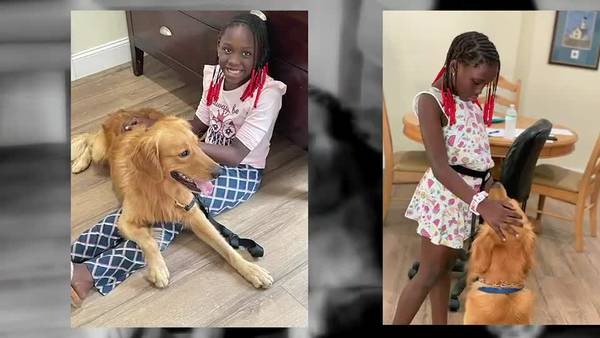 Jacksonville 8-year-old with epilepsy in need of seizure alert dog