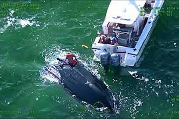 Watch: 11 people rescued from capsized boat in Florida