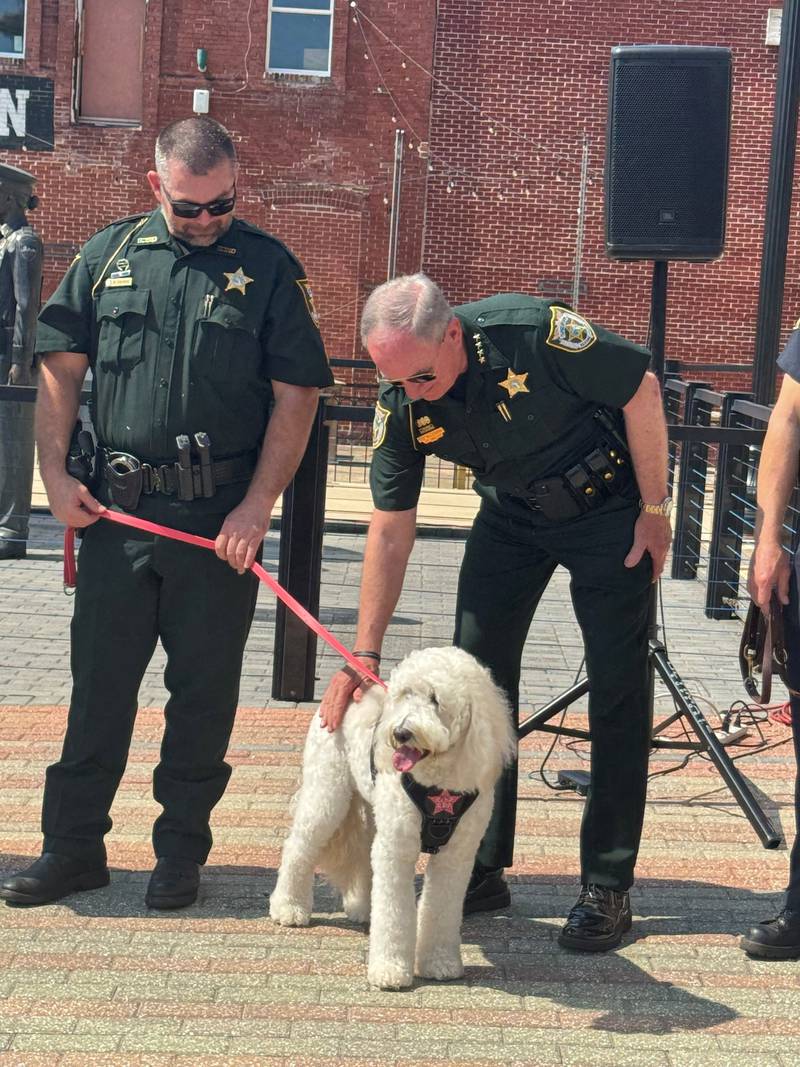 NCSO Sheriff Bill Leeper showing gratitude to the dogs that help first responders and veterans.