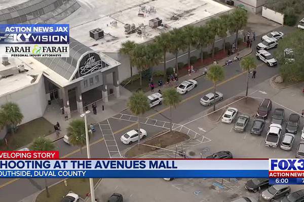 Shooting at the Avenues Mall