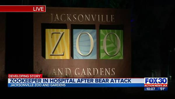 Black bear shot and killed at Jacksonville Zoo for ‘engaging’ with zookeeper 