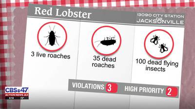Restaurant Report: More than sea critters found a local Red Lobster