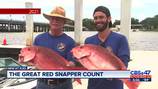 Red Snapper Act introduced to prevent Northeast Florida fishing area closures