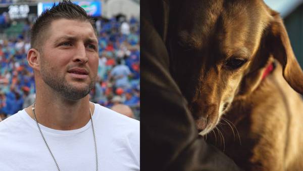 Tim Tebow shares tearful goodbye video for Bronco, ‘one of the best dogs ever'