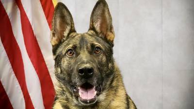 After 5 years of service Glynn County K9 calls it a career