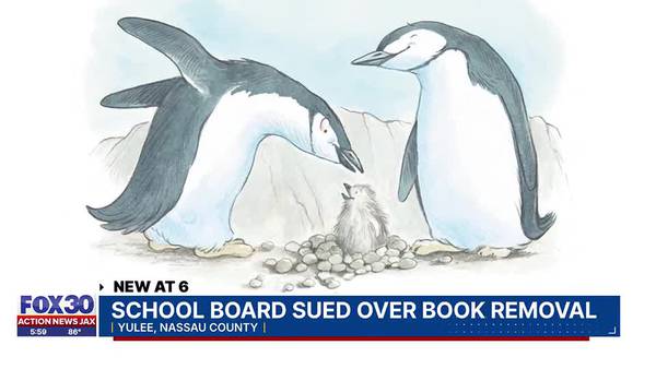 Nassau County Public Schools sued for removing children's book about same-sex penguin couple
