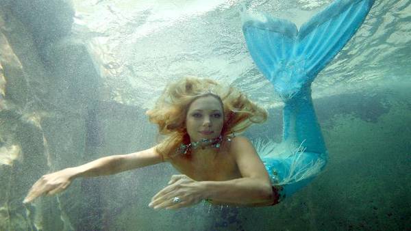 Mermaids at the St. Augustine Aquarium 