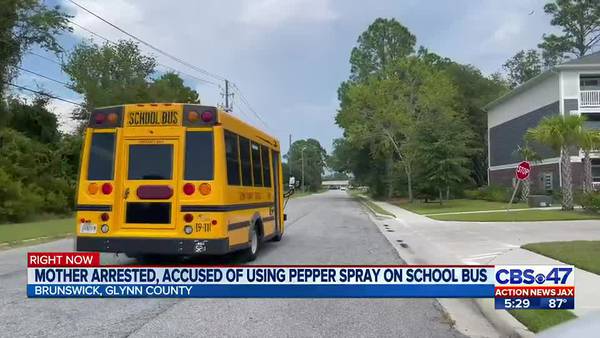 ‘It’s a crazy thing to do’: Brunswick mother pepper sprays school bus with students onboard