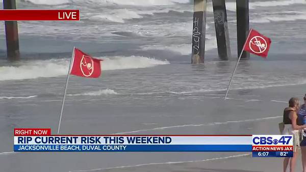 ‘There will be red flags flying almost certainly:’ High rip current risk this weekend