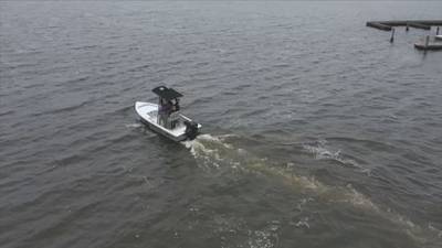 City of Jacksonville announces National Safe Boating Week, Manatee Awareness
