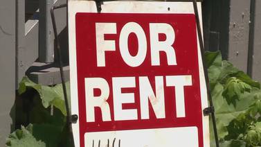 ‘Fight for your rights:’ new study shows alarming trend for non-white renters and homeowners