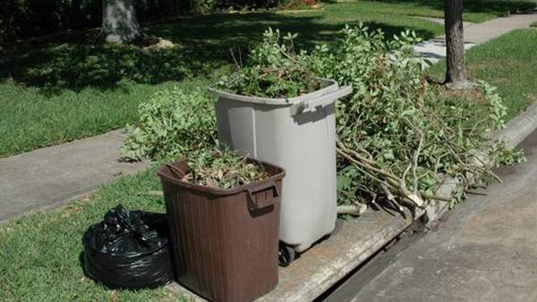 INVESTIGATES: Yard waste collection expected to skyrocket, Jacksonville leaders talk challenges 
