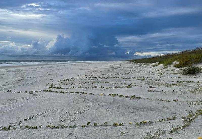 A picture from Florida State Parks as the clouds of an approaching storm are seen from the beach of Anastasia State Park.