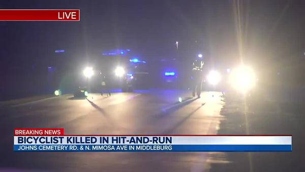 Bicyclist killed in hit-and-run