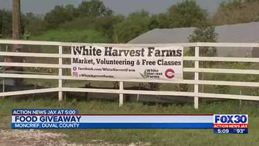 ‘It’s a true blessing’: Tyson Foods, local farm host food giveaway in historic Moncrief Springs