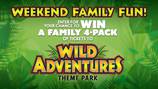 Contest: Win a family 4-pack of tickets to Wild Adventures!