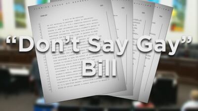 ‘Hurting gay and trans kids’: “Don’t Say Gay” bill up for discussion at tonight’s DCPS meeting