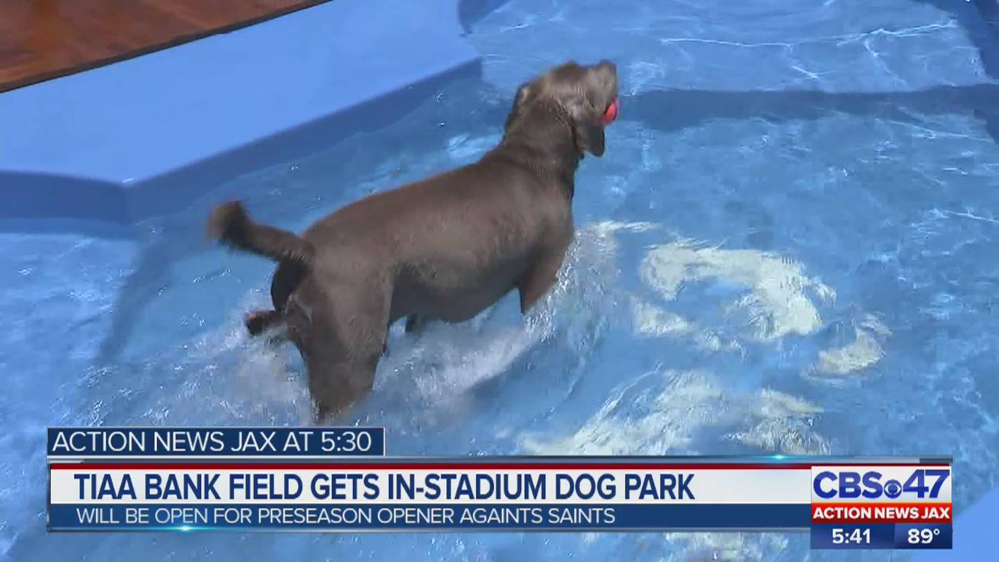 First NFL stadium dog park opens at TIAA Bank Field in Jacksonville –  Action News Jax