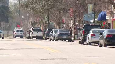 Community members 'Unveiled the Ave' to showcase historic district additions in Jacksonville
