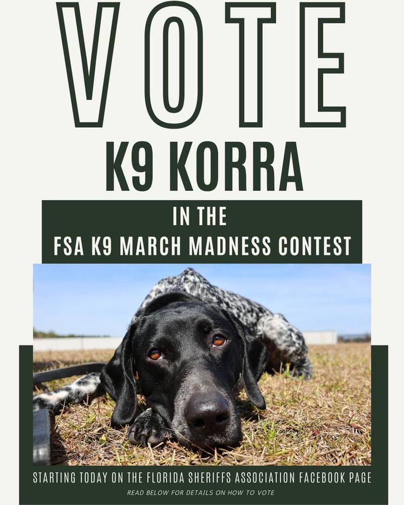 K9 Korra is representing St. Johns County.