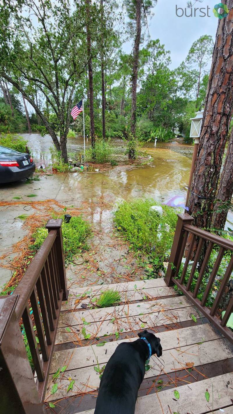 Flooding in front yard of Fernandina Beach home