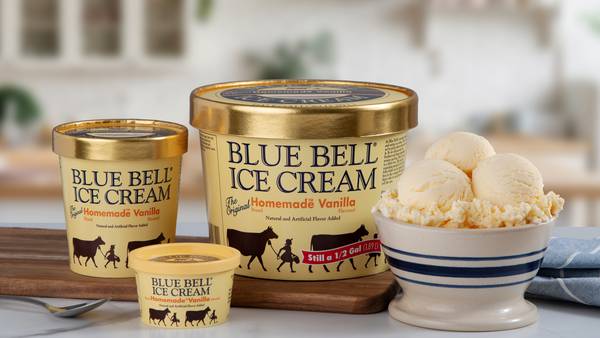 Last day to vote on which discontinued ice cream flavor Blue Bell should bring back