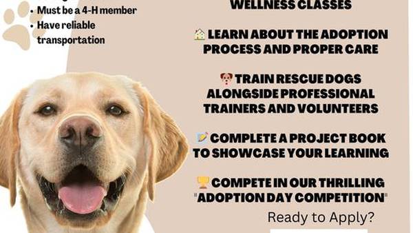 Nassau County to offer teens basic dog training and caring skills program