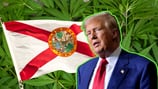 Former President Trump announces he will vote yes on Florida’s Amendment 3 on marijuana legalization