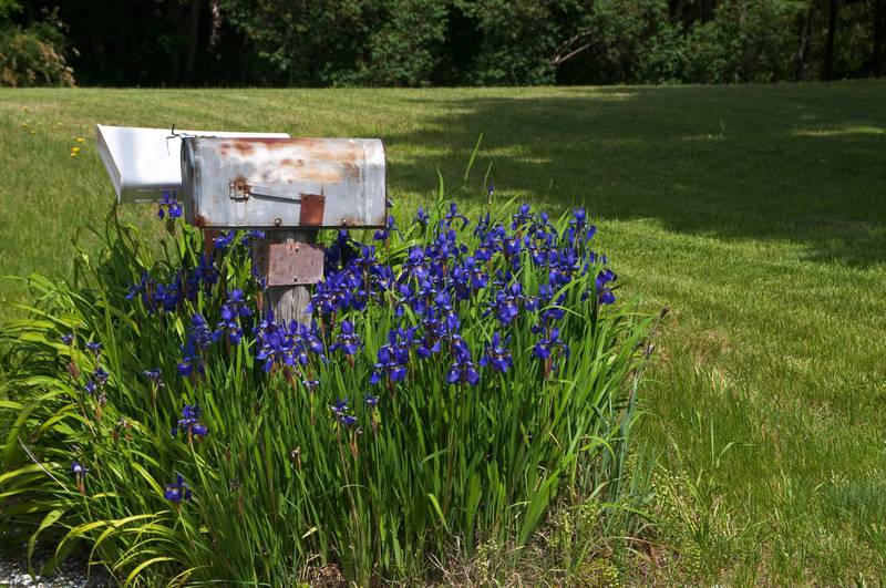 The USPS is asking Jacksonville homeowners to inspect and repair their mailboxes from May 19 to May 25.
