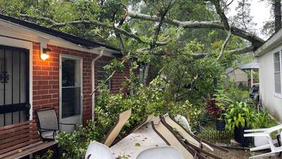 Photos: Local storm damage from Debby 