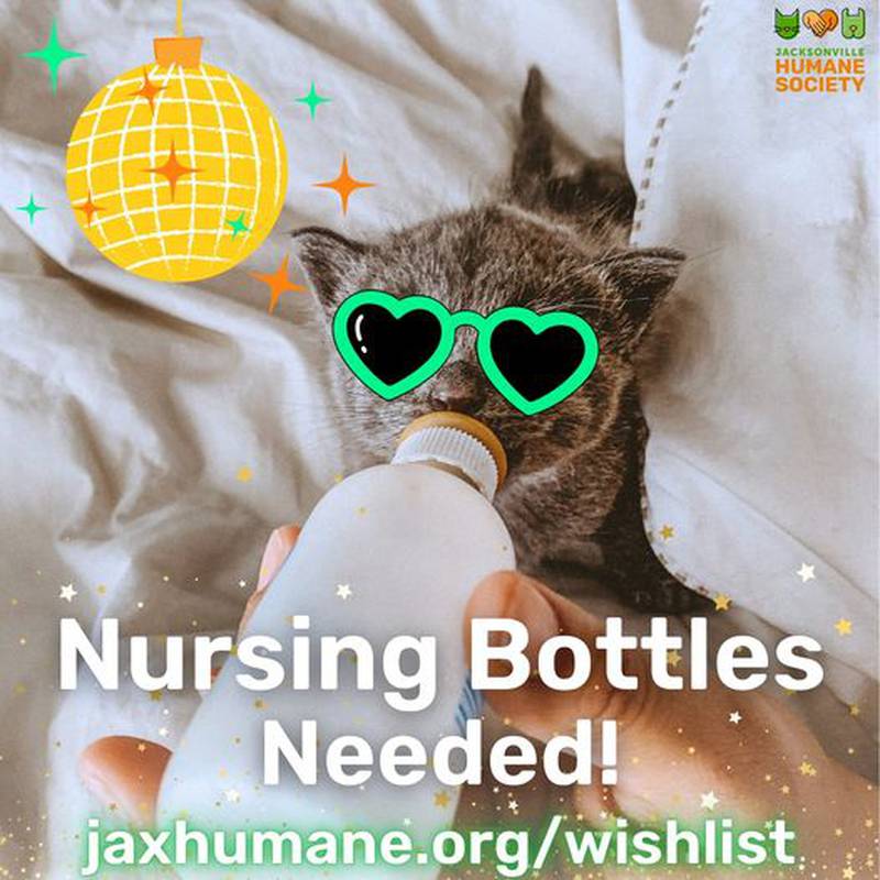 Nursing bottles for the kittens needed at Jax Humane Society.