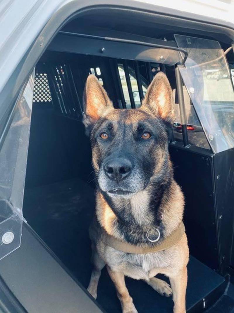 K-9 Huk recently had his leg amputated, is recovering and will be at the race.