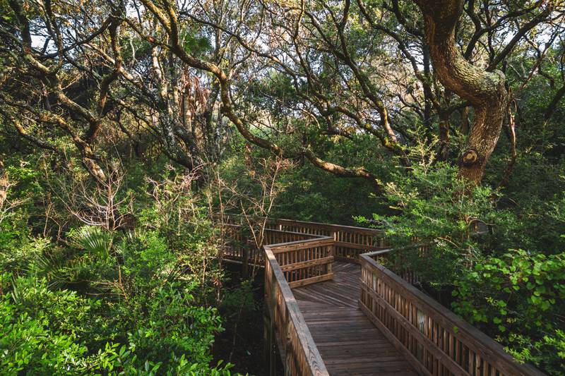 Boardwalks are plentiful throughout Amelia Island, allowing visitors and residents to walk through untouched natural preserves.