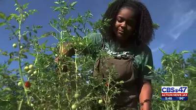 Woman leaves coporate job to start urban Duval farm 