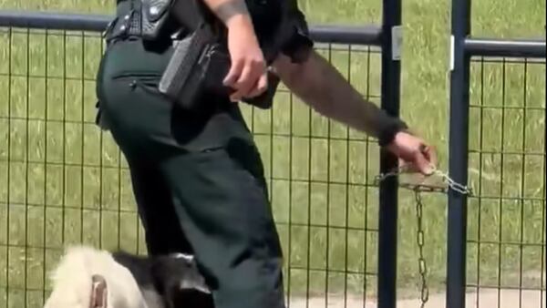 ‘I need you to stop:’ Goat head-butts Clay County deputy